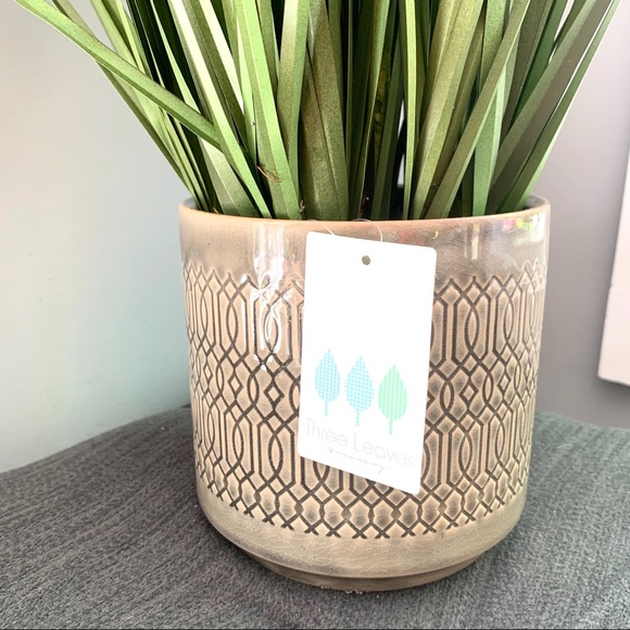 NWT elegant tall grass plant in ceramic pot - Picture 3 of 4